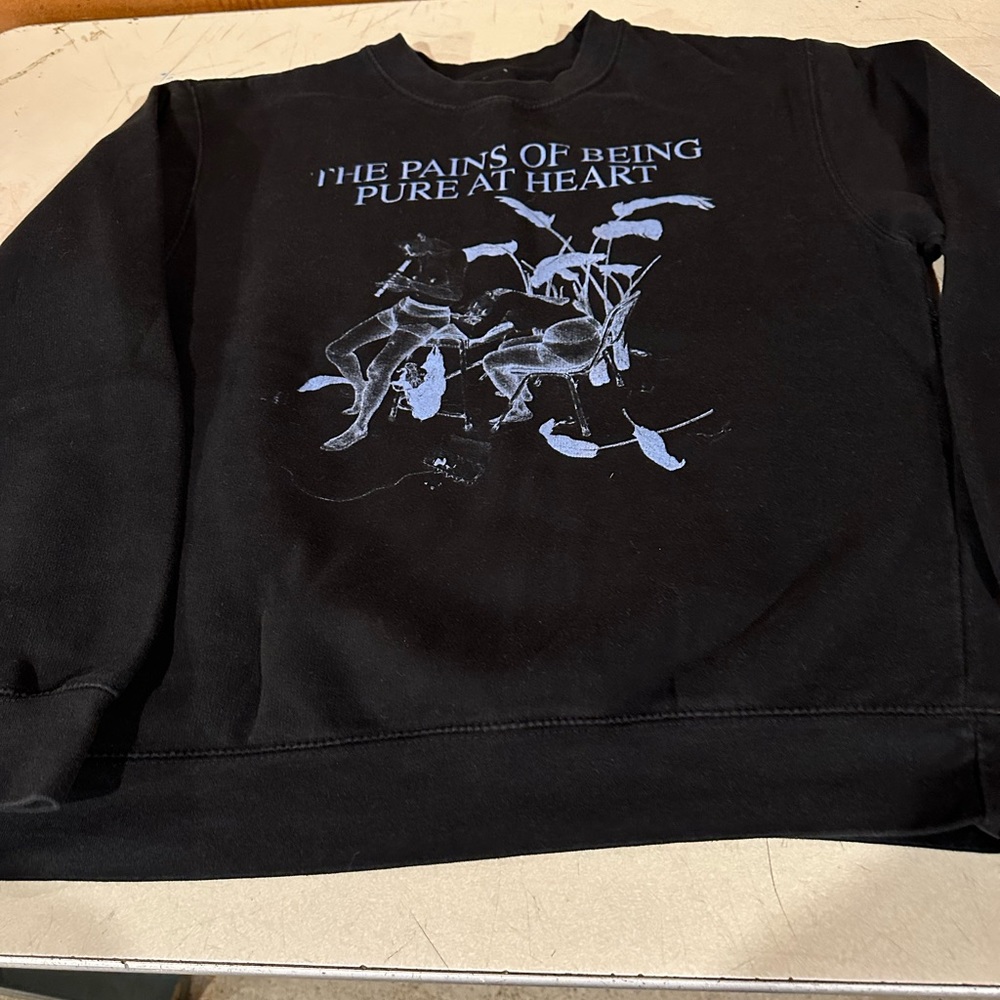 The pains of being pure at heart sweatshirt